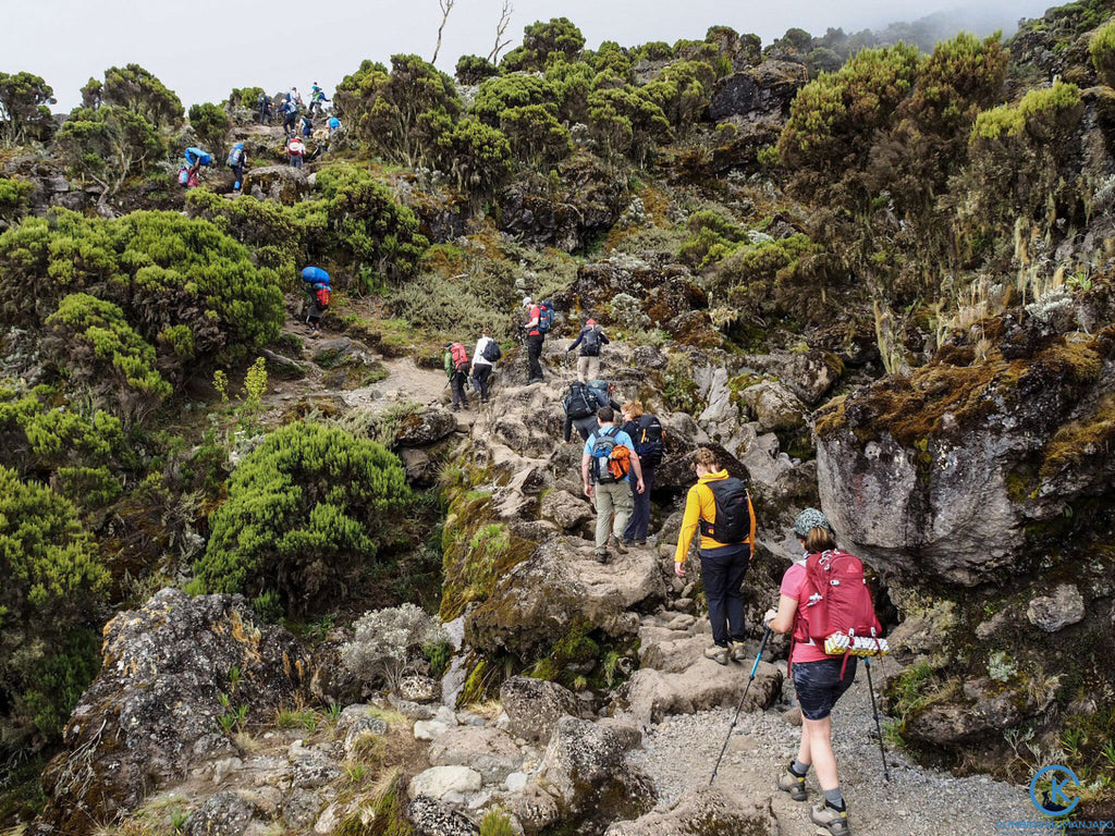 a group of trekkers climbing kilimanjaro in Tanzania