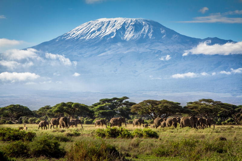 Kilimanjaro Trek with Wild Edge
